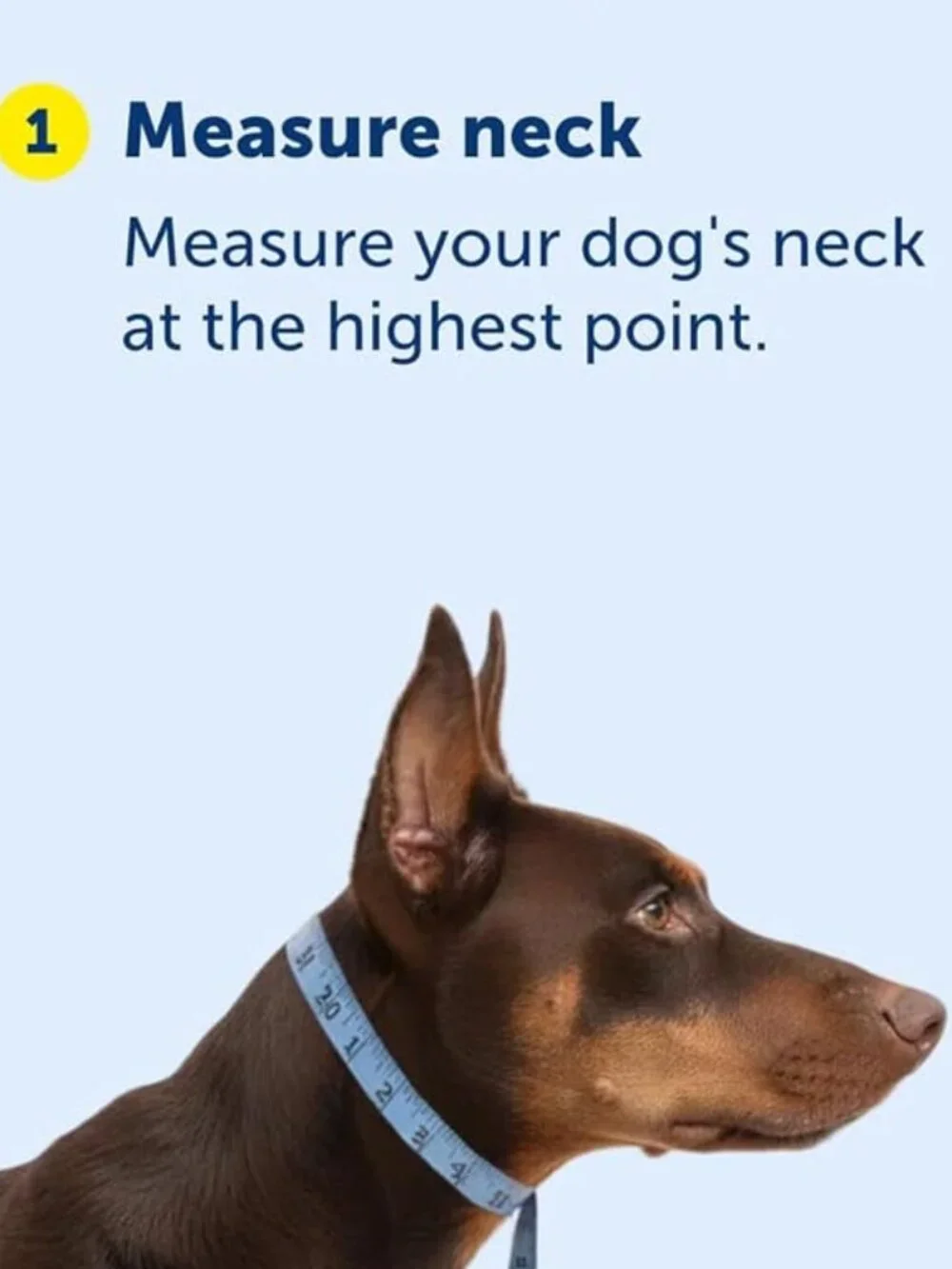 PetSafe Gentle Leader No-Pull Dog Headcollar Large Black